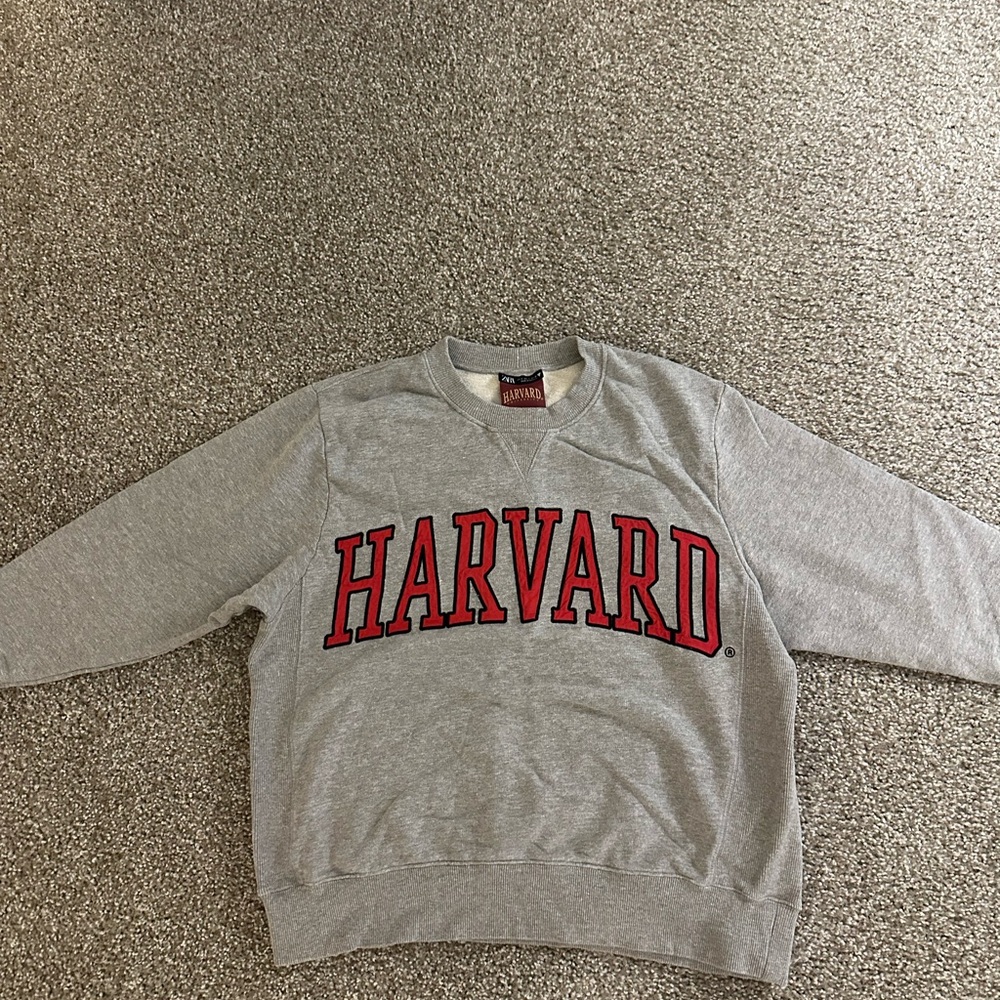 Zara Gray and Red Women's Crew Neck Sweater